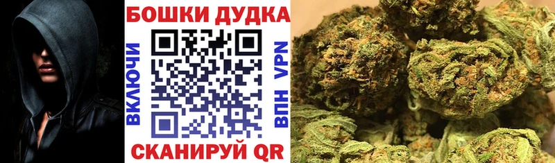 сколько стоит  Санкт-Петербург  Конопля AK-47 